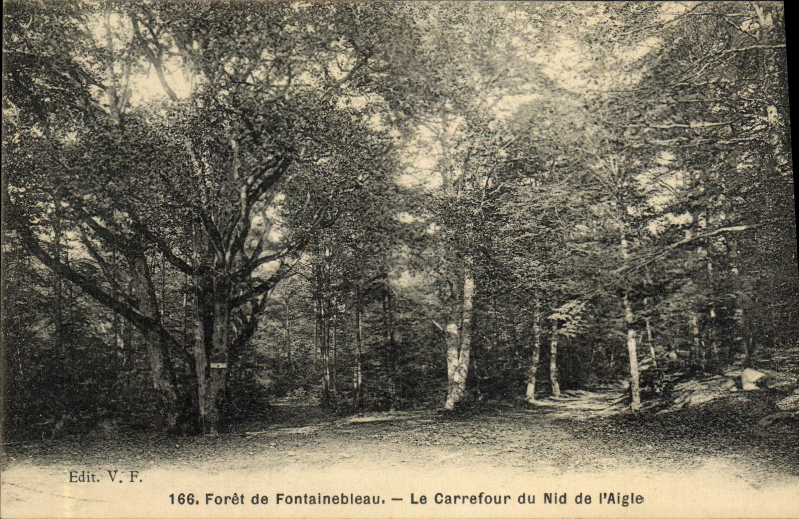 Wald von Fontainebleau — Carrefour du Nid de l'Aigle — Edit. V.F. n°166