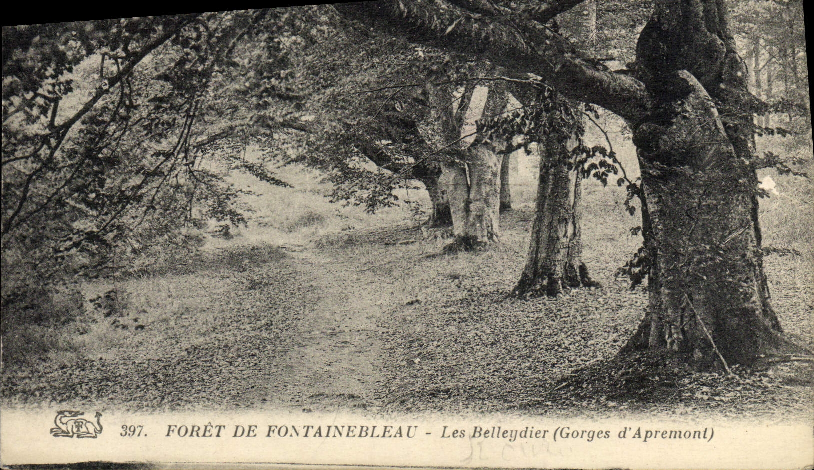 Foresta di Fontainebleau — Les Belleydier (Gorges d'Apremont) — Editore non identificato, n° 397
