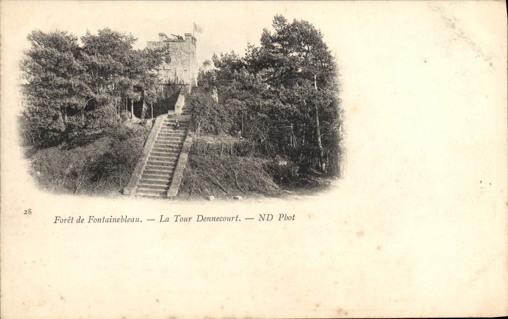 Bossche van Fontainebleau — De Torre Dennecourt — ND Phot