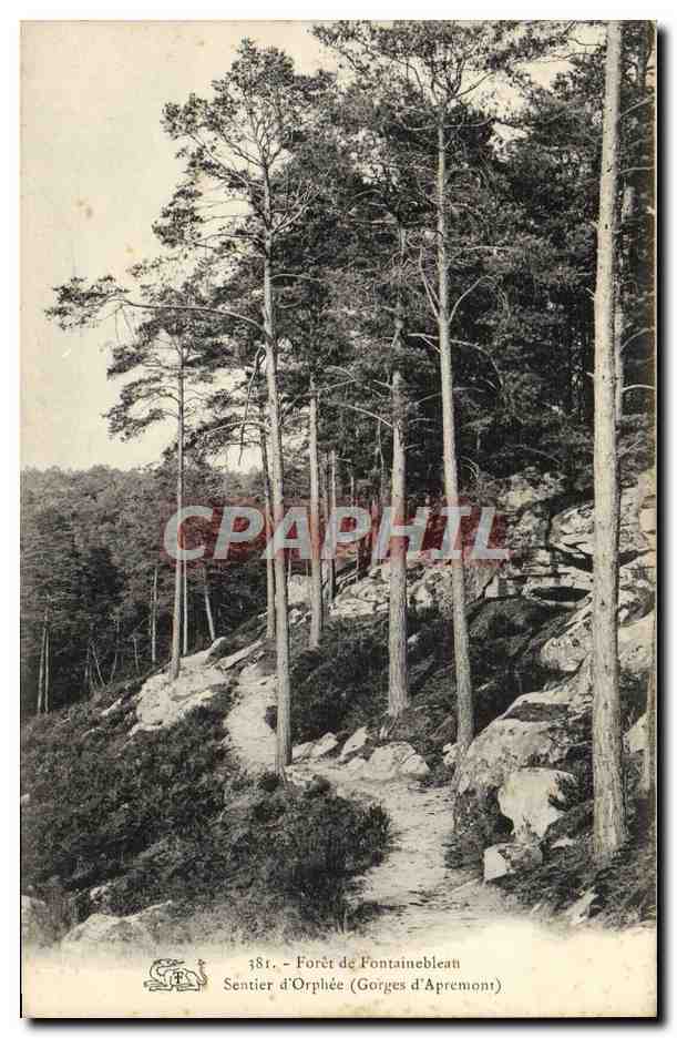Bosque de Fontainebleau — Sendero de Orfeo (Gorges d'Aprémont) — n° 181