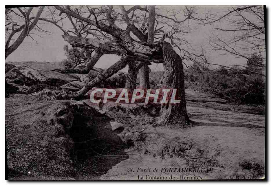 Bosque de Fontainebleau — Fuente de los Ermitaños — n° 38
