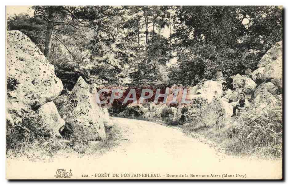 Foresta di Fontainebleau — Strada della Butte-aux-Aires (Mont Ussey)