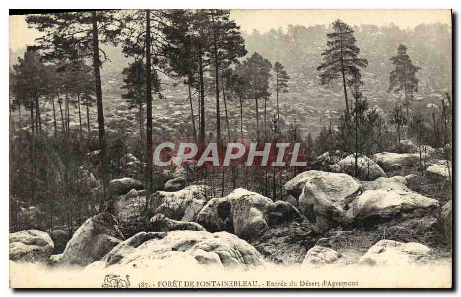 Forêt de Fontainebleau — Entrée du Désert d'Apremont — Éditeur : CPAPHIL, n° 187