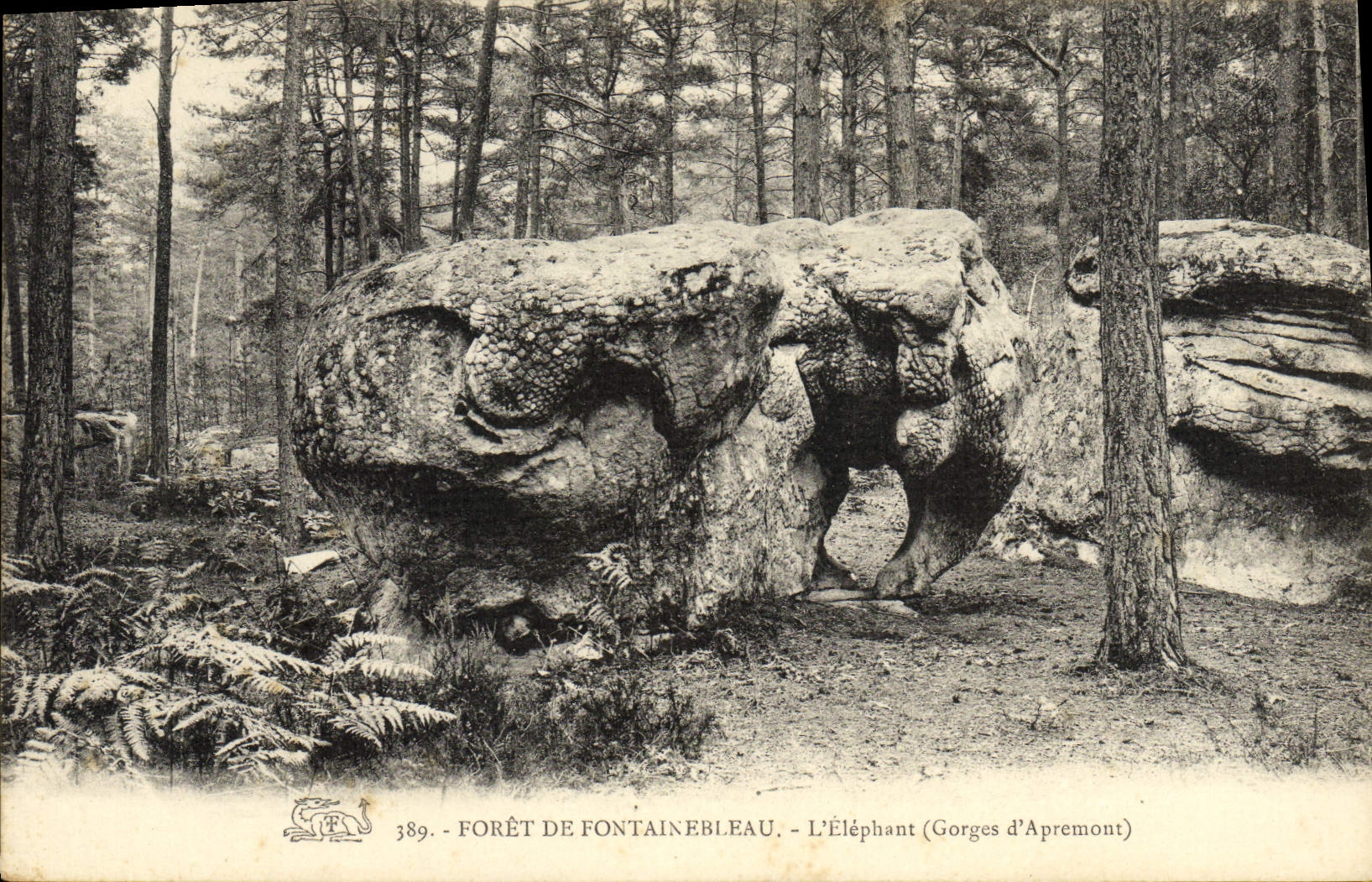 Der Elefant (Gorges d'Apremont) — Forêt de Fontainebleau — n° 389