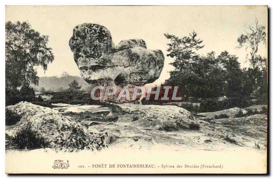 Bosque de Fontainebleau — Esfinge de los Druidas (Franchard) —n° 101