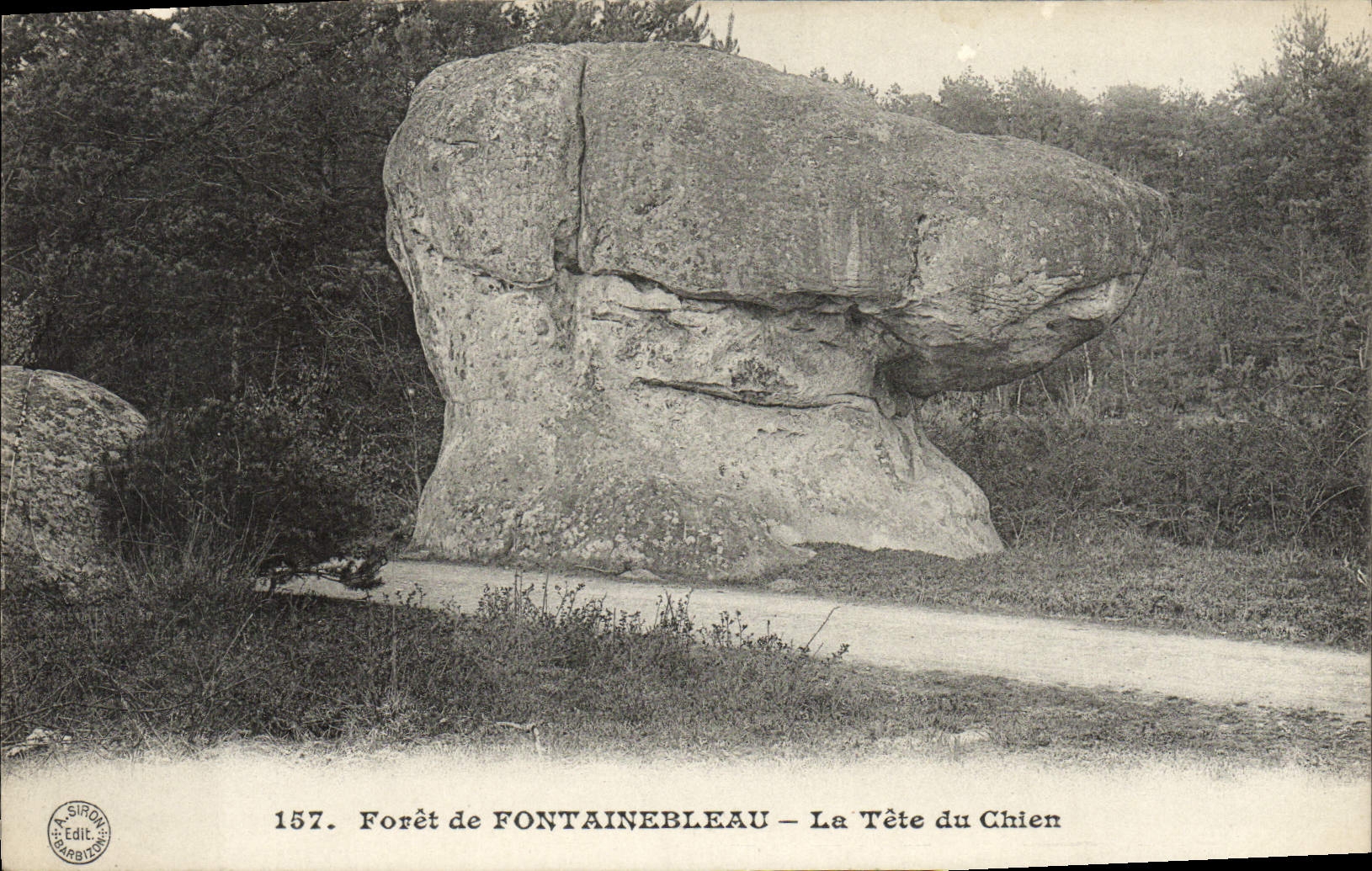 Forêt de FONTAINEBLEAU — La Tête du Chien — A. SIRON Edit.