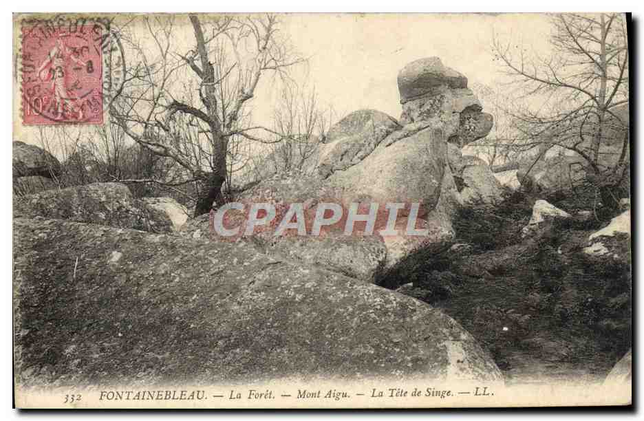 Fontainebleau — La Forêt — Mont Aigu — La Tête de Singe — LL. — n°332