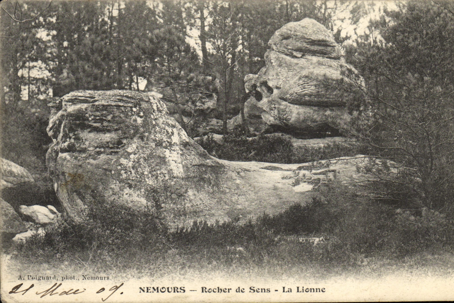 CPA Nemours Rocher De Sens La Lionne Lion