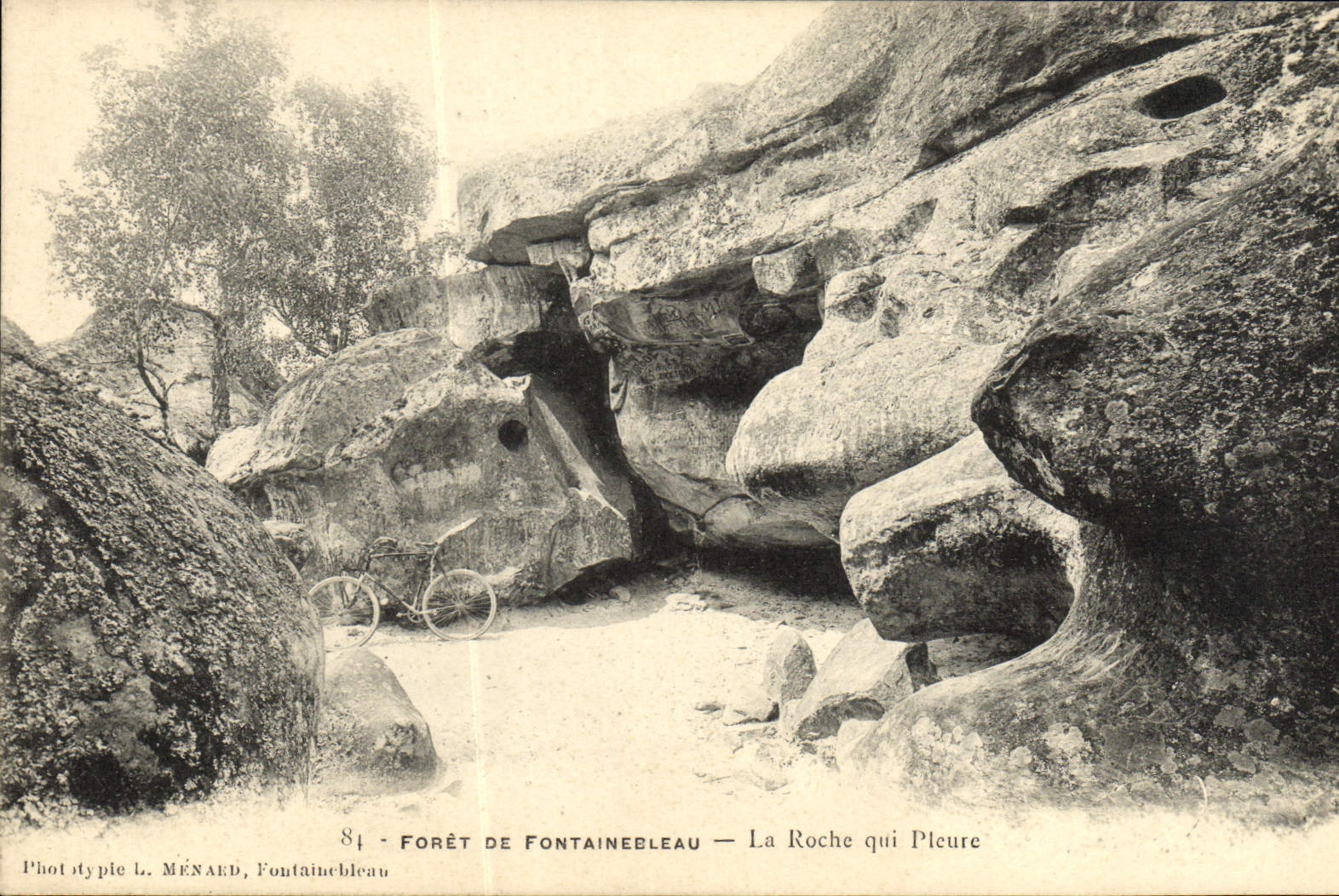 Bosque de Fontainebleau — La Roche qui Pleure — Fototipia L. MÉNARD, Fontainebleau, n°84