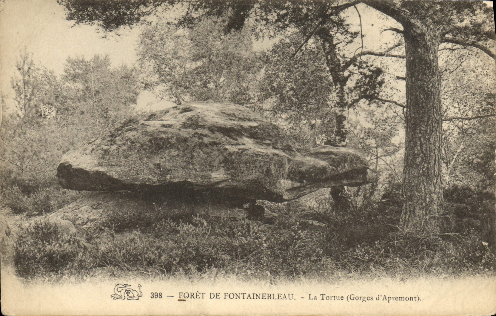 La Tortuga (Gorges d'Apremont) — Bosque de Fontainebleau — n° 398