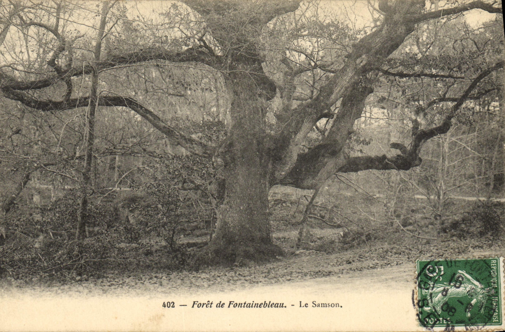 Forêt de Fontainebleau — Le Samson — Éditeur non identifié, n° 402