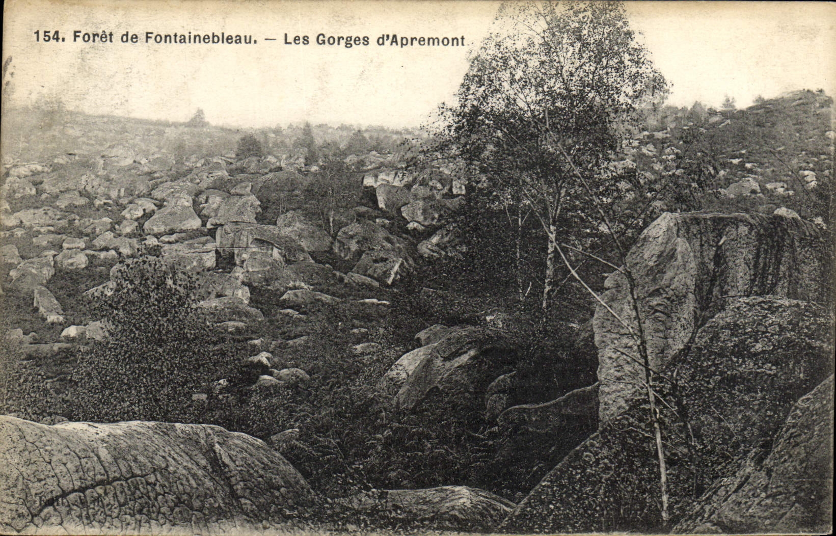 Foresta di Fontainebleau — Le Gorges d'Apremont — n°154