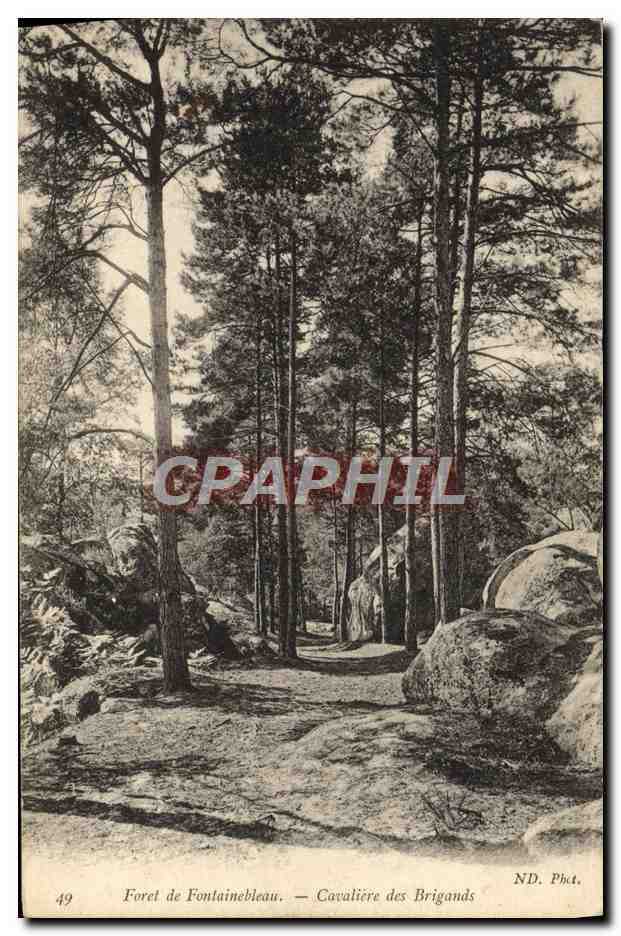 Foresta di Fontainebleau — Cavalière dei Briganti — ND. CPAPHIL