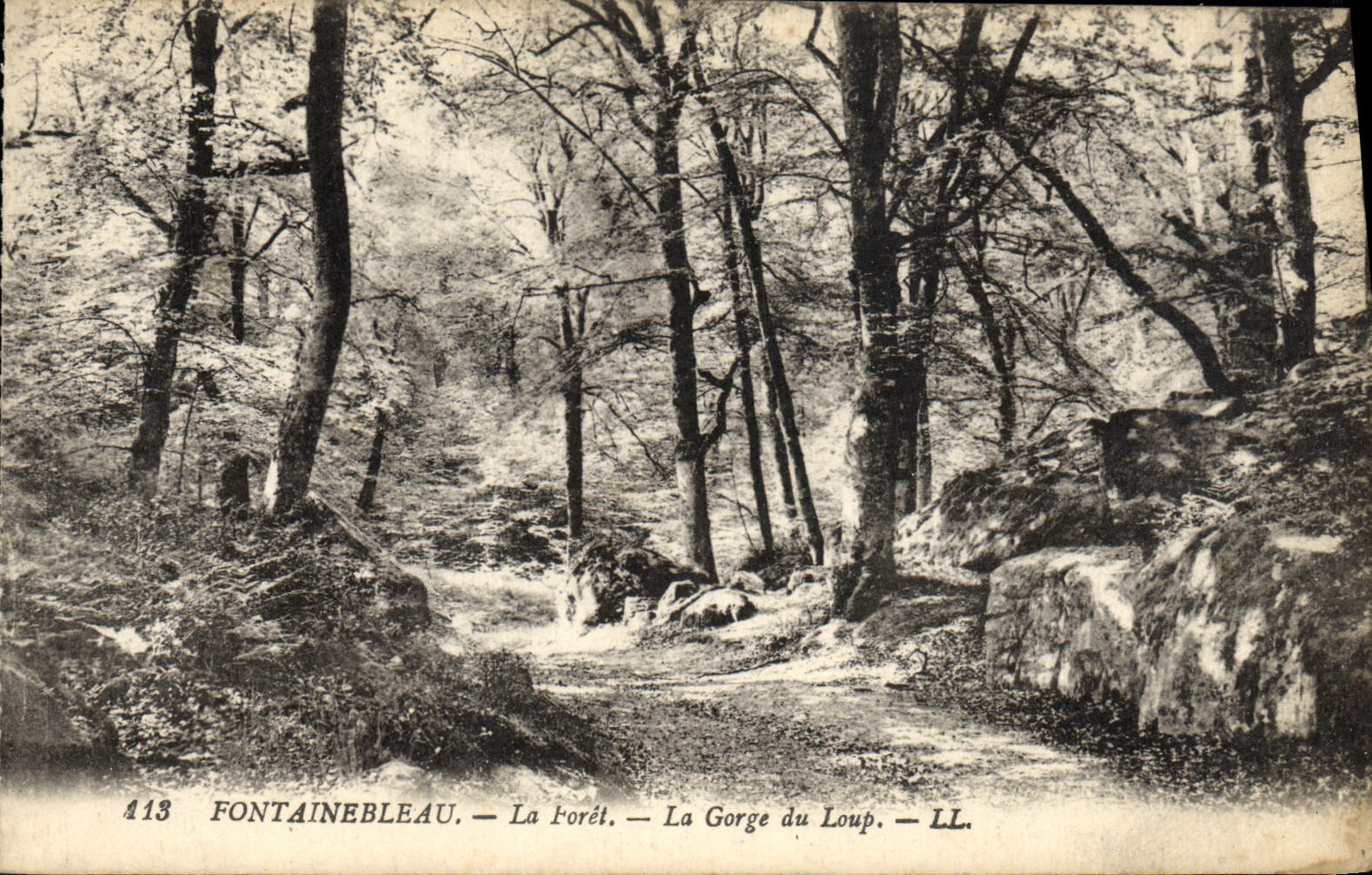 Fontainebleau — La Forêt — La Gorge du Loup — LL. — n°413