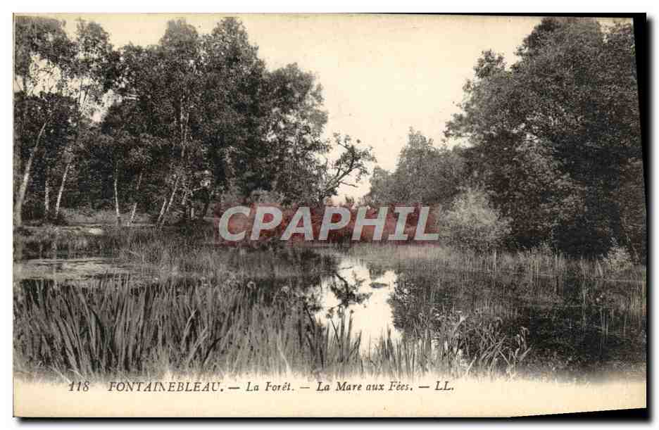Fontainebleau — La Forêt — La Mare aux Fées — LL. — N° 118
