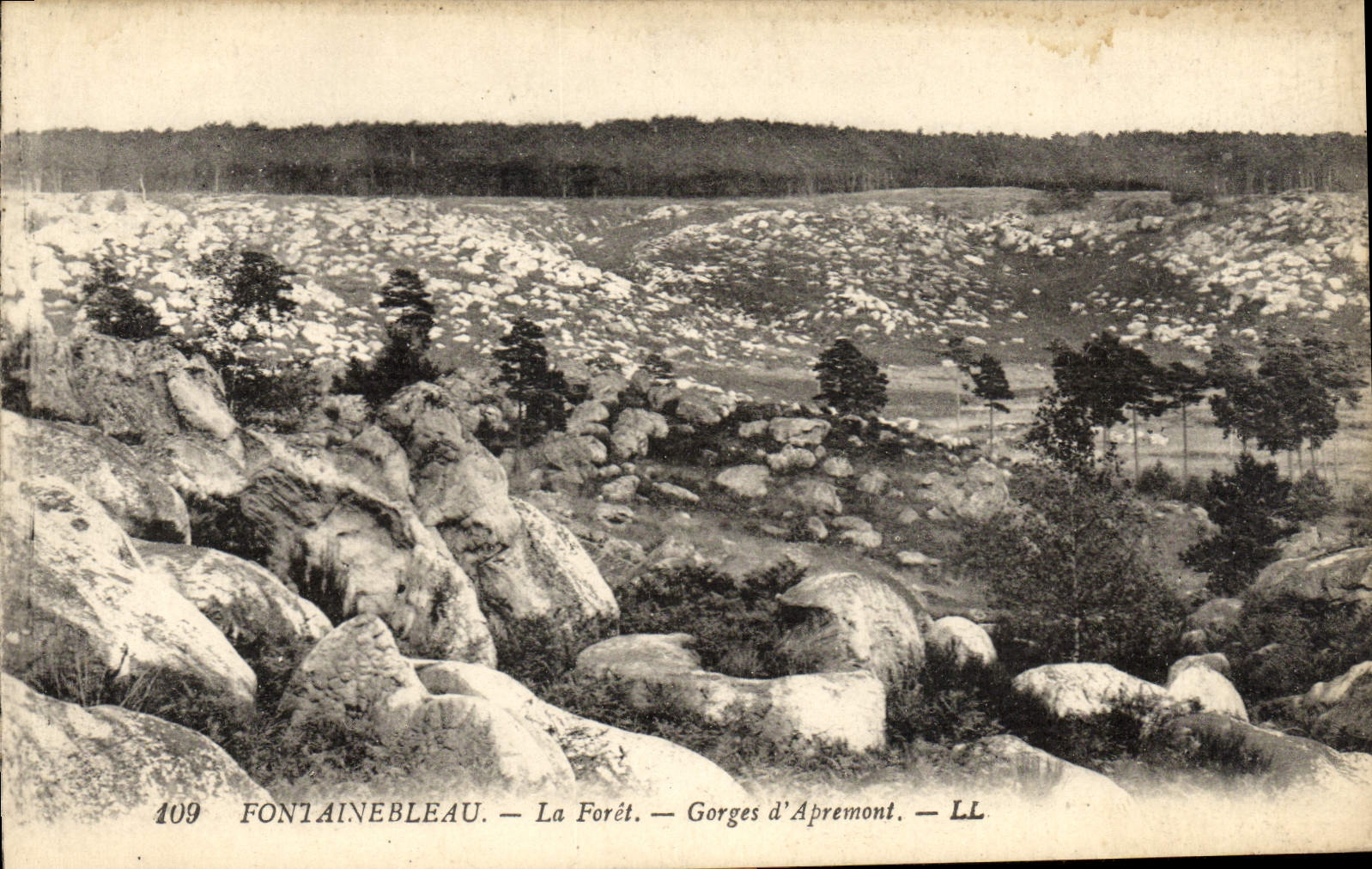 Fontainebleau — La Foresta — Gorges d'Apremont — LL — n°109