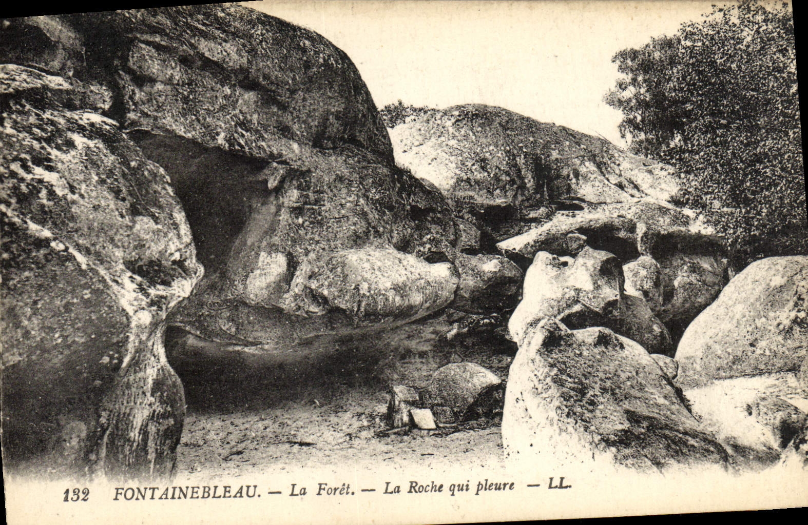 Fontainebleau — La Forêt — La Roche qui pleure — LL — n°132