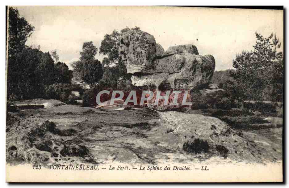 Fontainebleau — La Forêt — Le Sphinx des Druides — LL. — N° 125