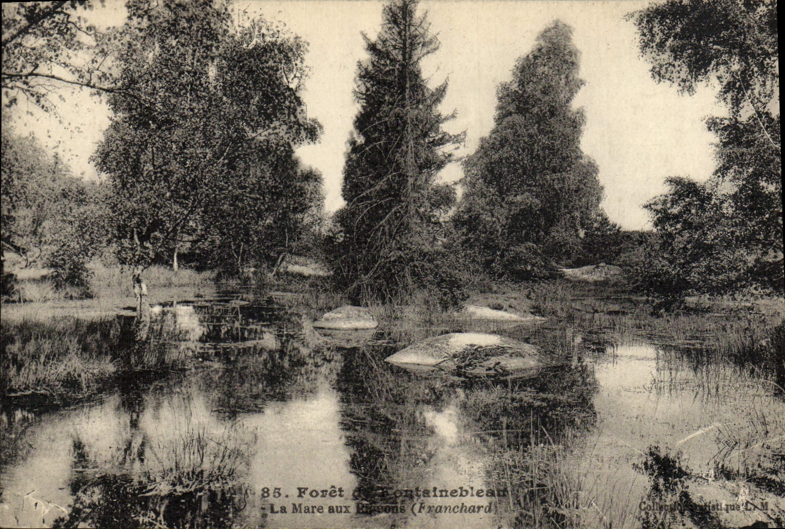 La Mare aux Ribois (Franchard) — Forêt de Fontainebleau — Collection artistique L.M.