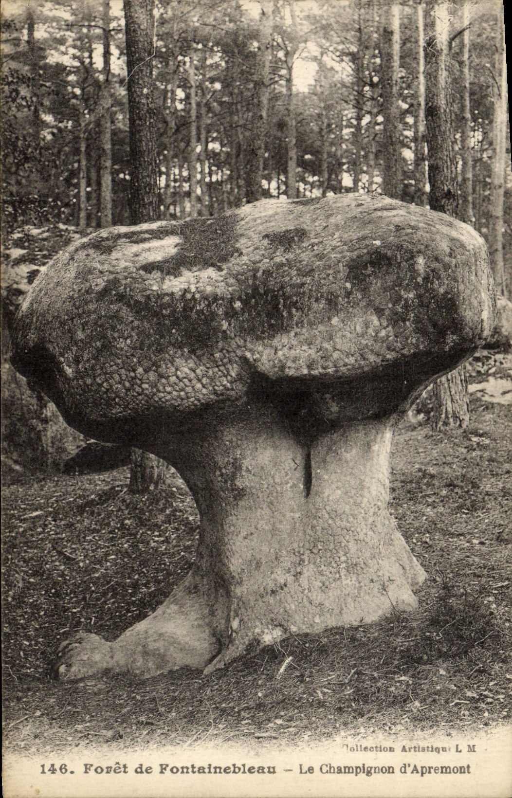 Woud van Fontainebleau — Le Champignon d'Apremont — Artistieke Collectie L.M. n°146