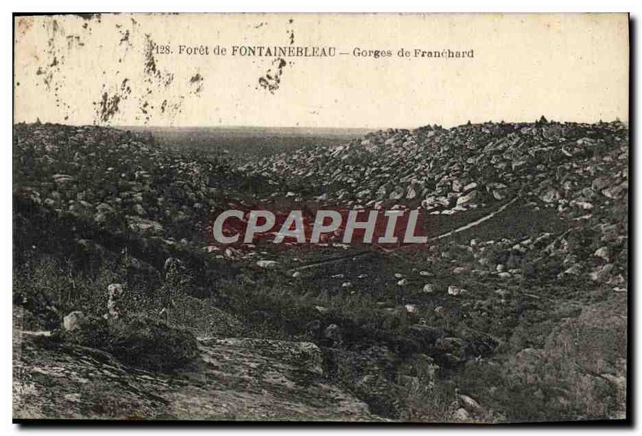 Forêt de Fontainebleau — Gorges de Francbard — Éditeur : , n° 128