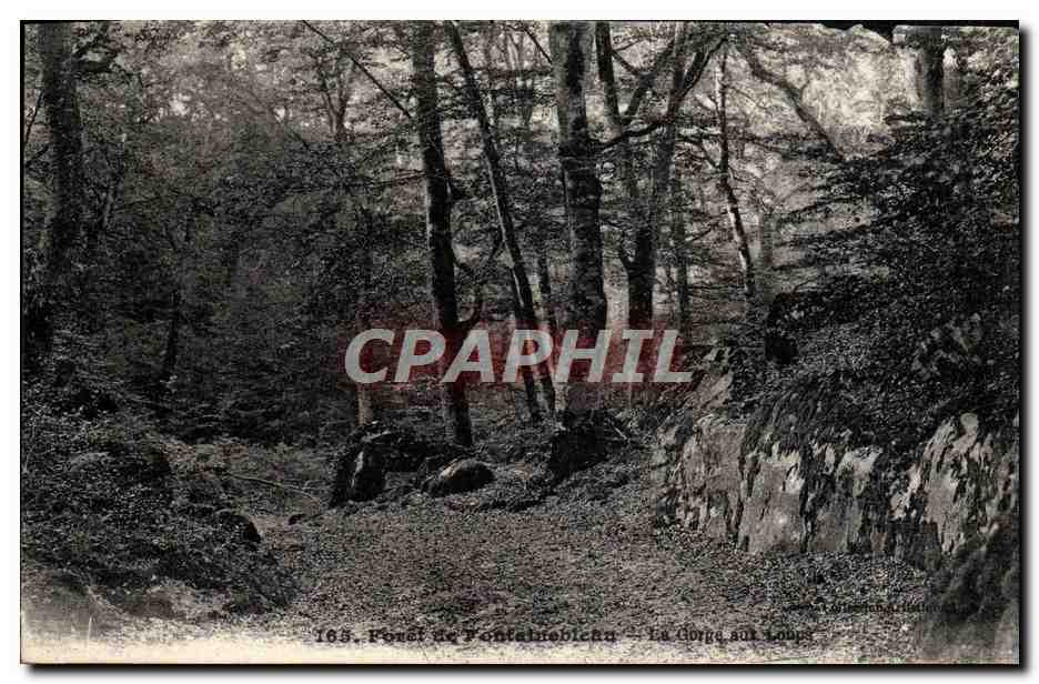 Bosque de Fontainebleau — La Garganta de los Lobos — n°163