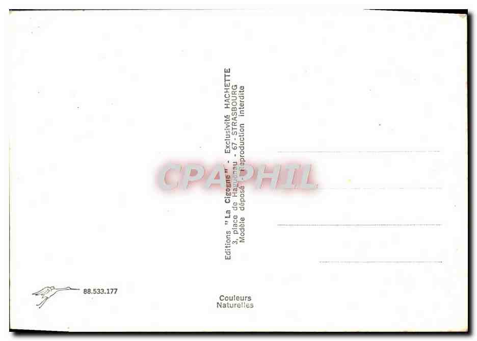Panorama der Vosges — 'La Cigogne' Verlag — Nr. 88.533.177 — Rückseite