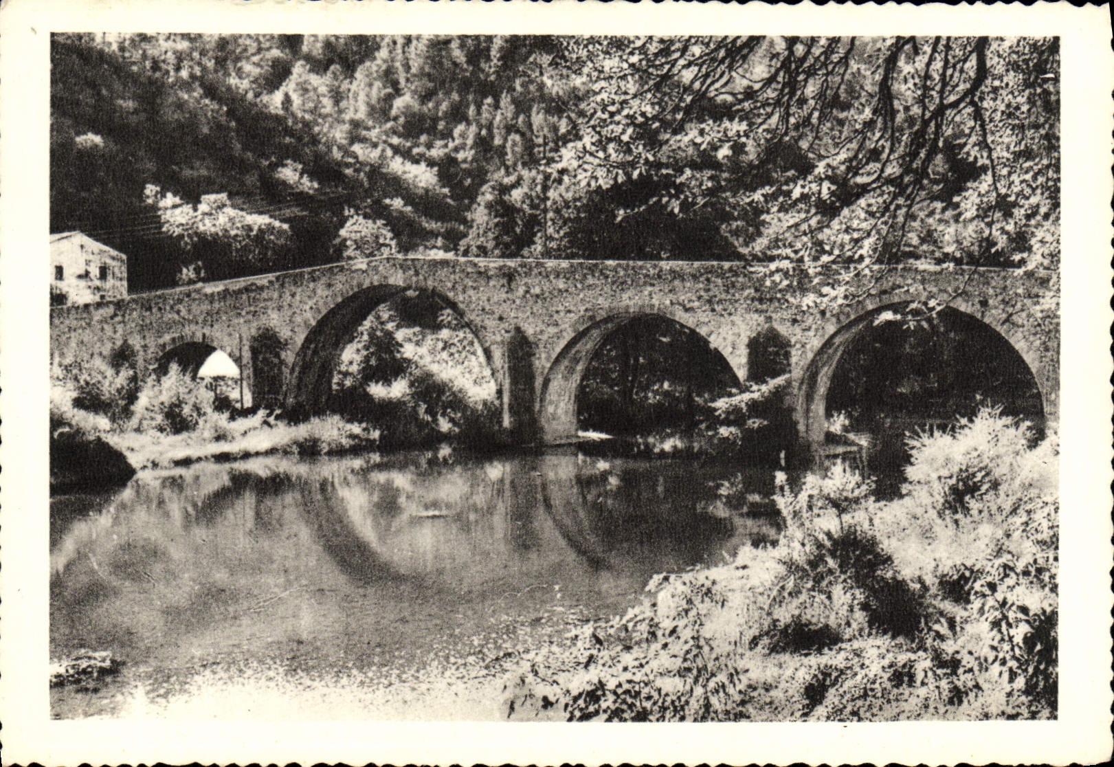 CPM Le Pontvieux St Jean du Gard 