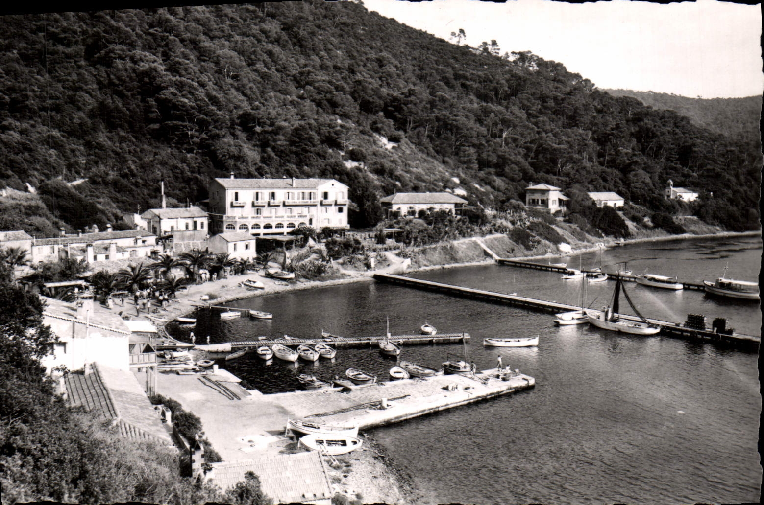 CPM lle de Port Cros Vue generale du Village et le Port 