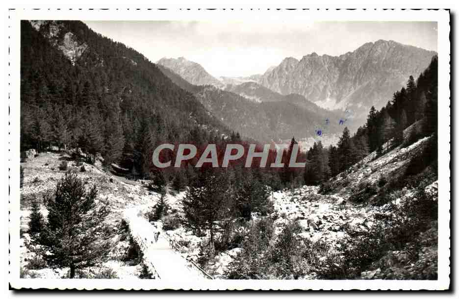 CPM St Martin Vesubie La Route du Boreon 