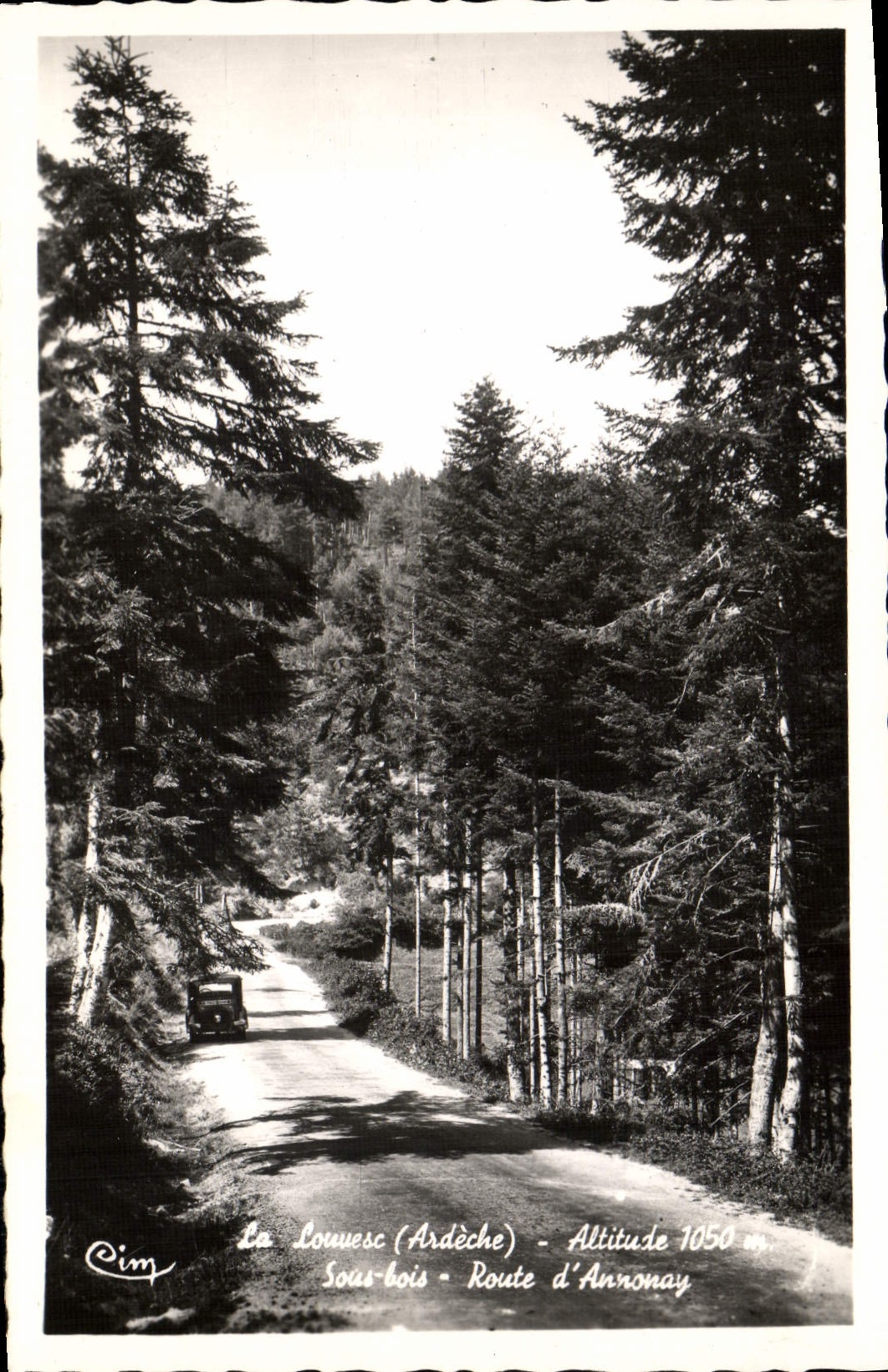 La Louvesc (Ardèche) — Sous-bois - Route d'Annonay — éditeur Cim