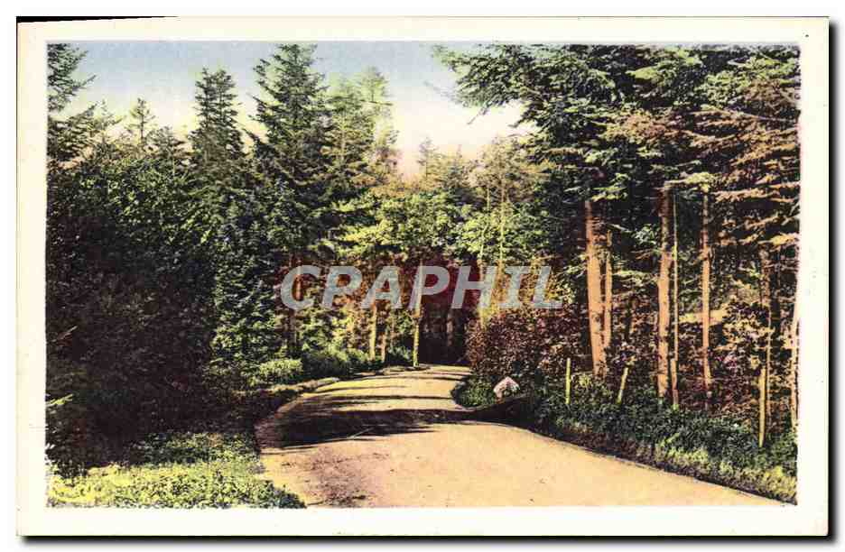 Entrée du Bois de Favardy — ST-NIZIER-d'AZERGUES (Rhône) — éditeur Combier Imprimeur