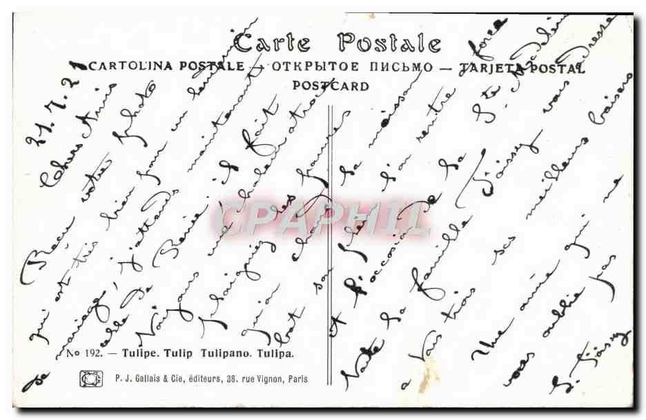 CPA Fantaisie Fleurs — Rückseite