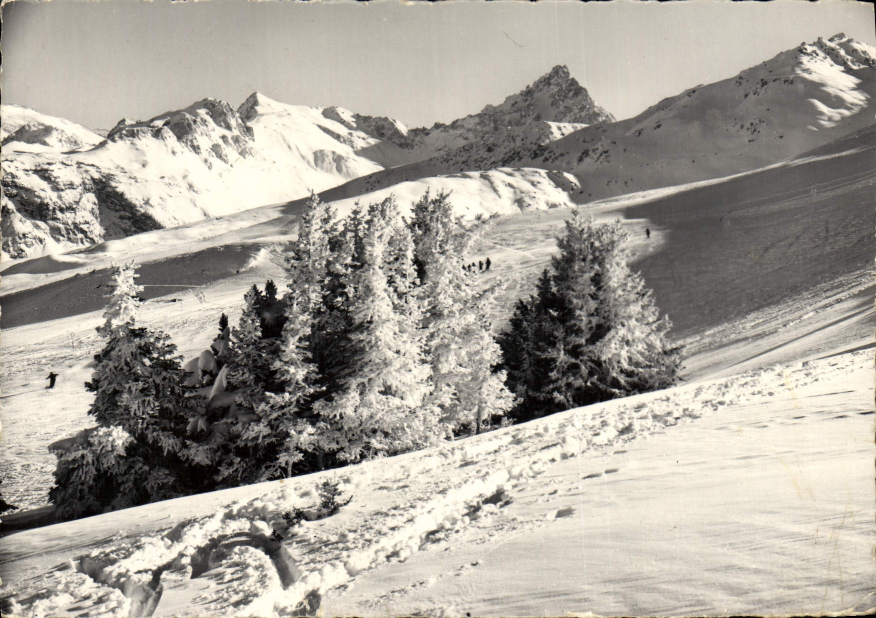 CPM Courchevel Les Pistes De La Loze Et Du Biolley Dans Le Fond l'aiguille du fruit