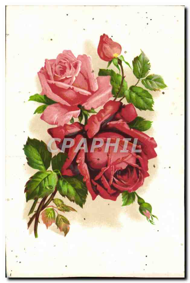 CPA Fleurs