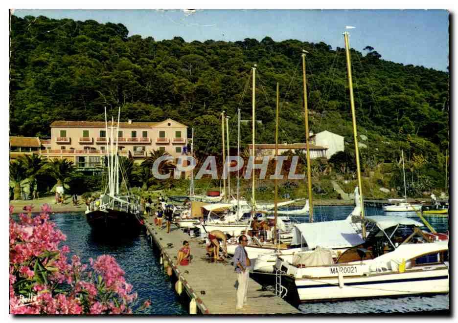 CPM La Cote D'Azur Varoise Ile De Port Cros L'Embarcadere Bateaux
