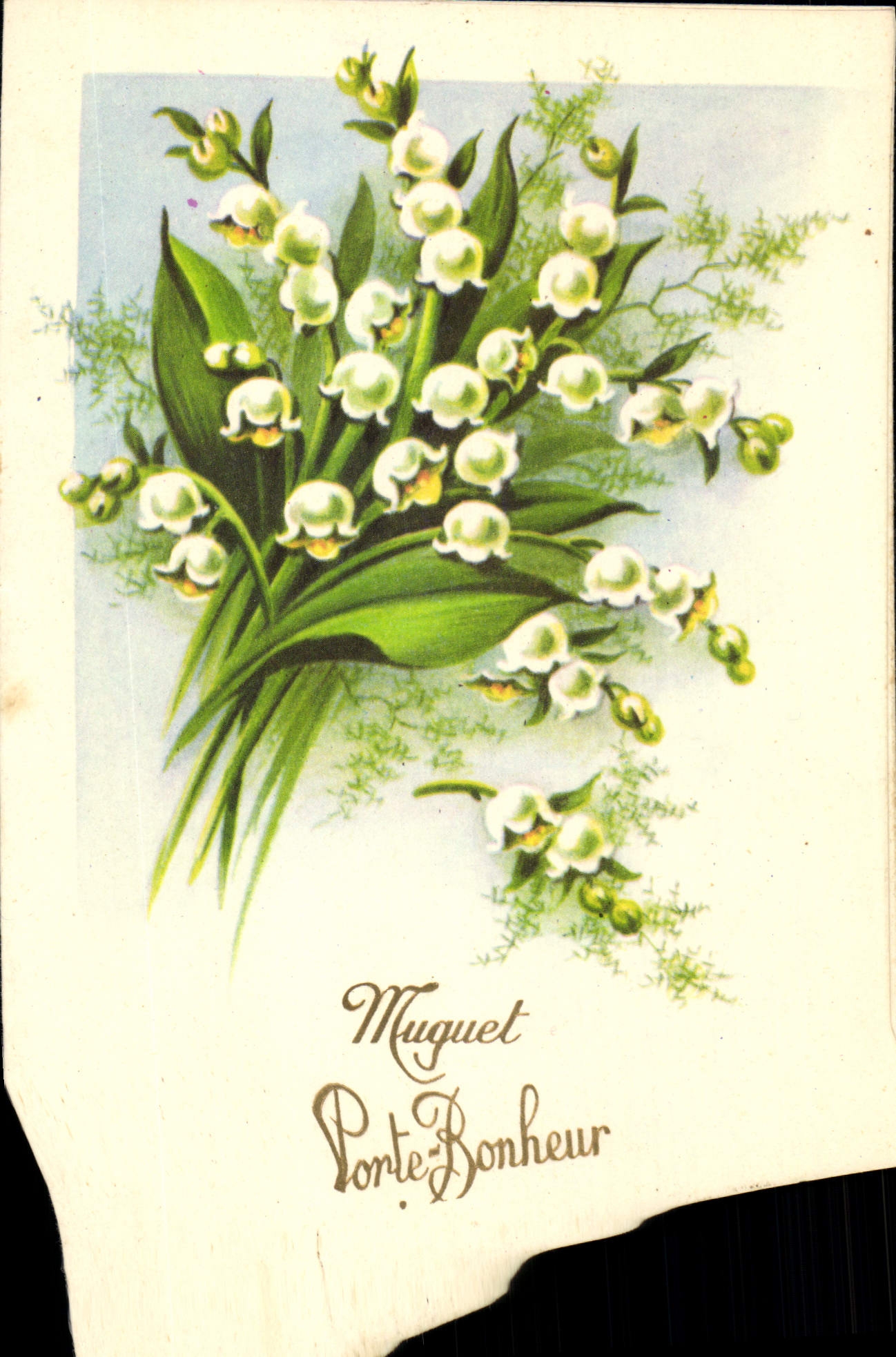 CPM Muguet Porte Bonheur Fleurs