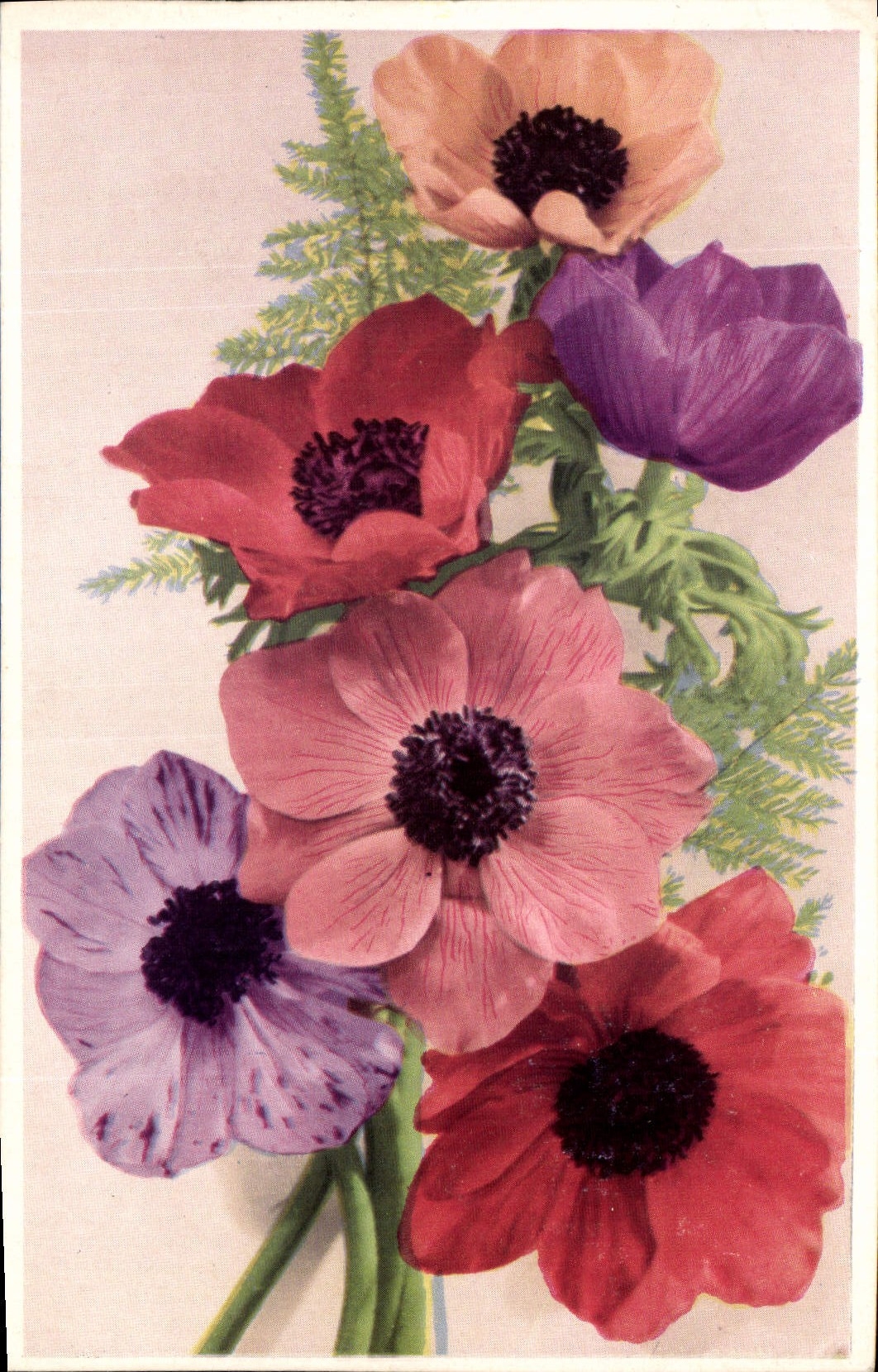 CPA Fleurs