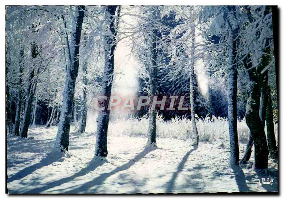 CPM Paysage Hivernal