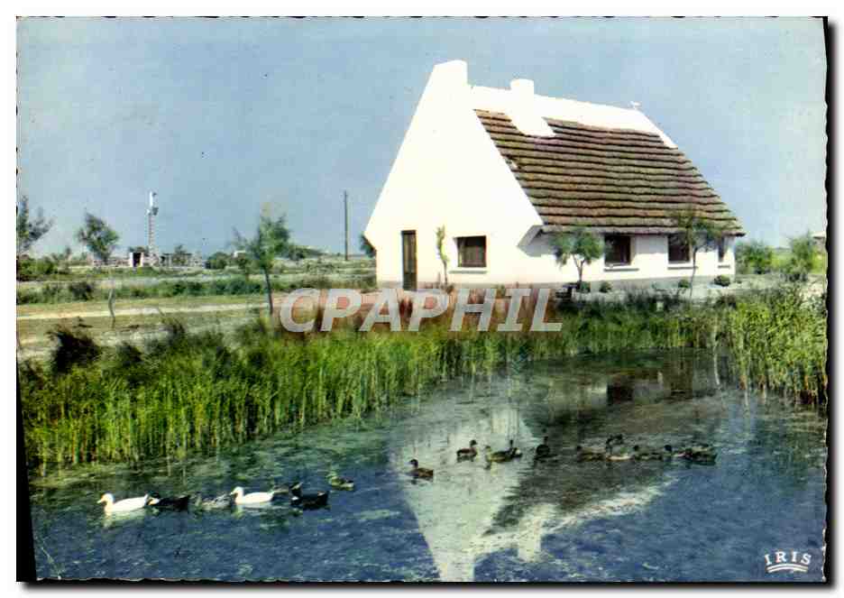 Cabane de Gardians — Camargue — éditeur IRIS