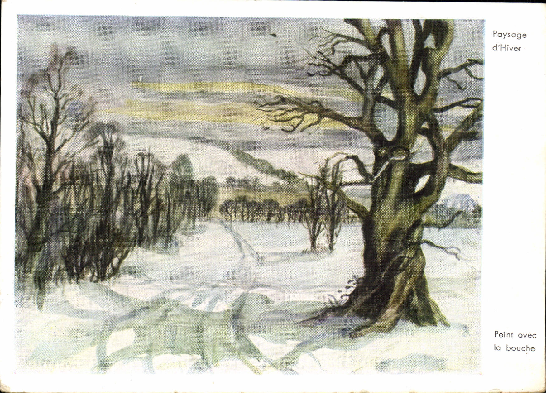 CPM Paysage D'Hiver Jackson