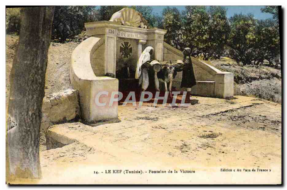 CPM Le Kef Fontaine De La Victoire Ane Militaria Medaille