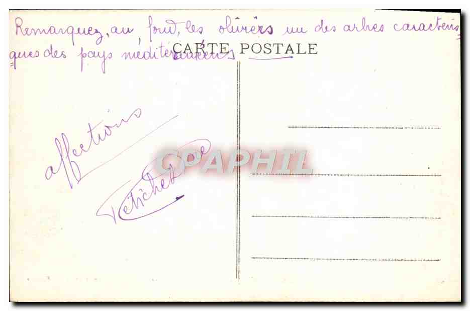 CPM Le Kef Fontaine De La Victoire Ane Militaria Medaille — Verso
