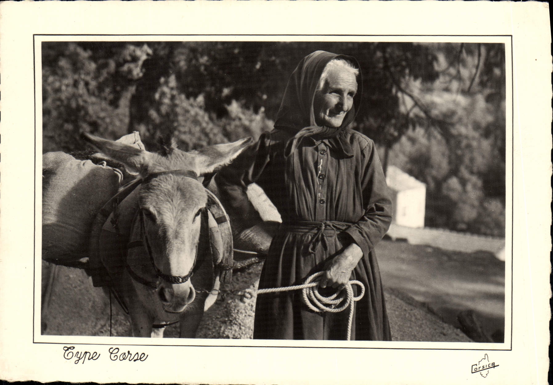 CPM La Corse Ile De Beaute Type Corse Ane Mule Folklore 