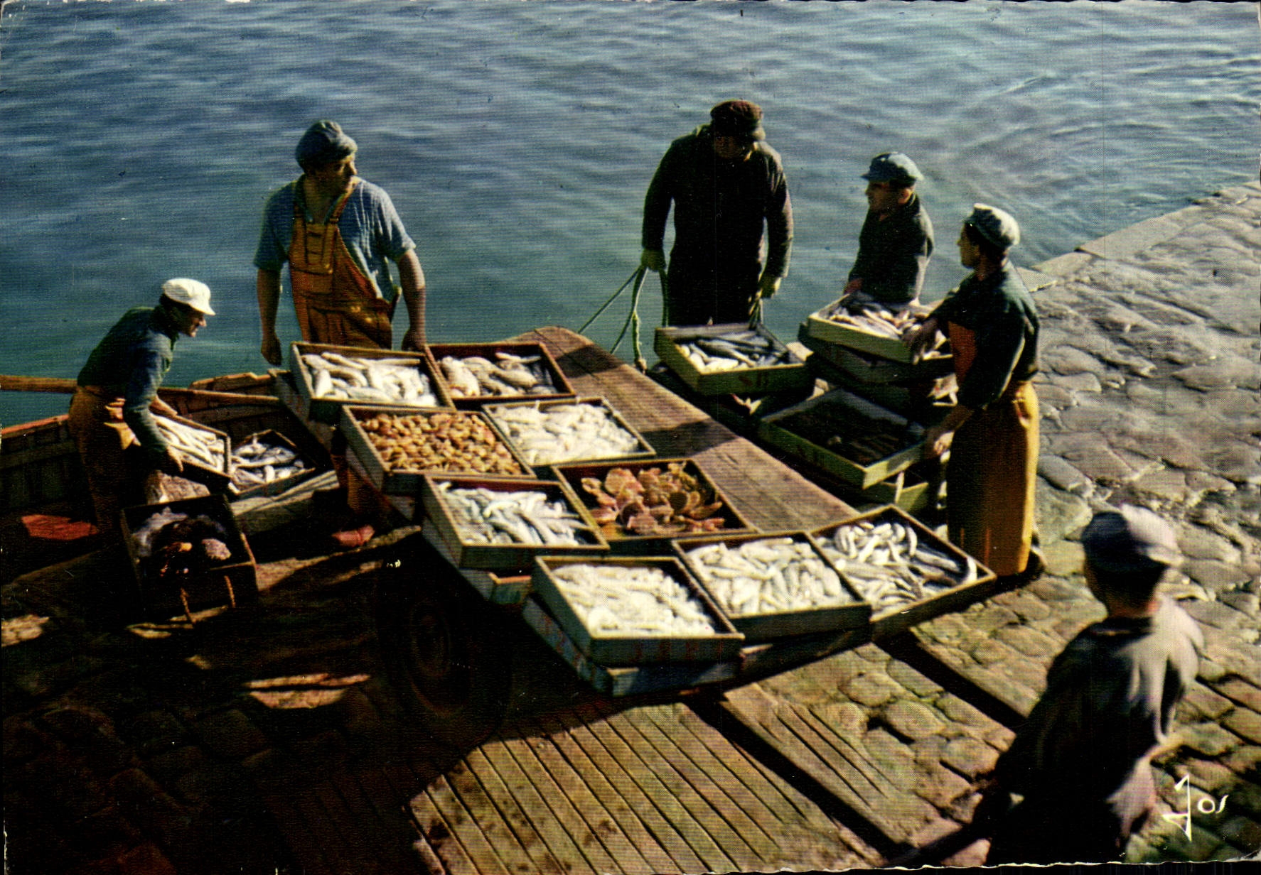 CPM La Bretagne En Couleurs Debarquement De Poisson La Turballe