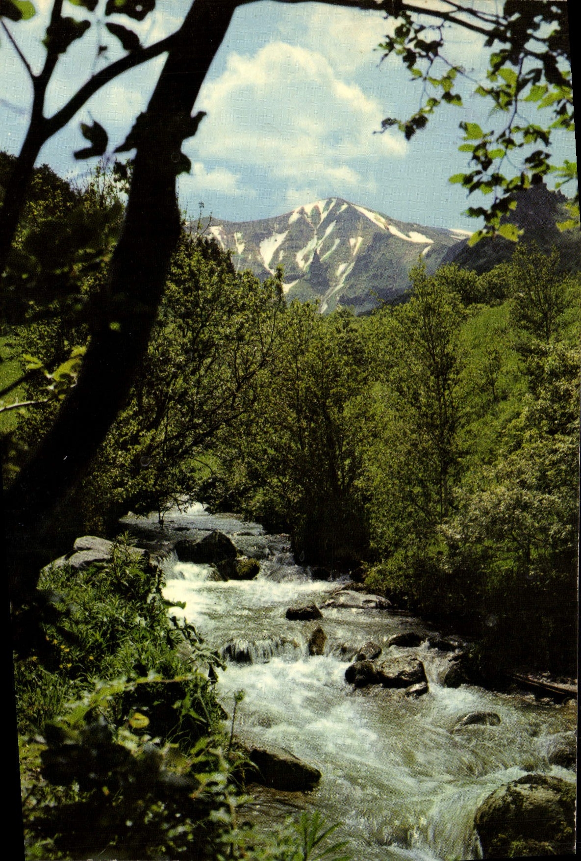 Vallée de Chaudefour — La Couze et le Puy Ferrand (1846 m.) — L'Auvergne touristique, édition SPADÈME, n° 63.104