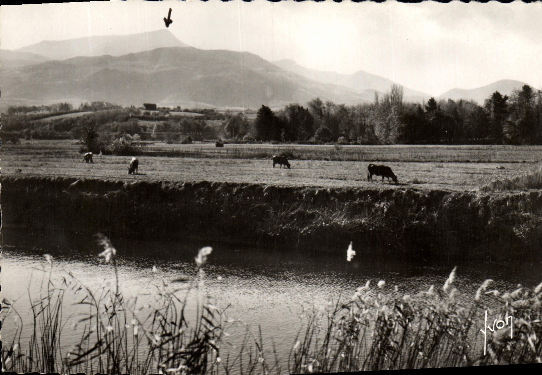 CPM Le Pays Basque Les Bords De La Nivelle Et Le Massif De La Rhune