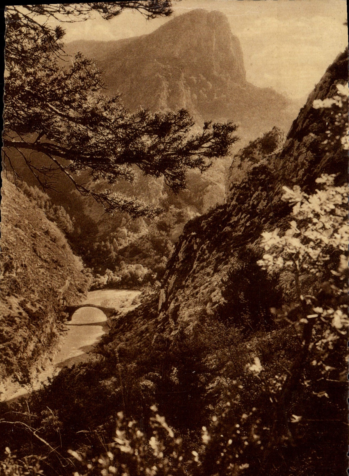 Les Gorges du Verdon — Le Pont du Tusset par sentier d'Incasetel, sous Rougon — Photo Montier Rougon (B.A.)