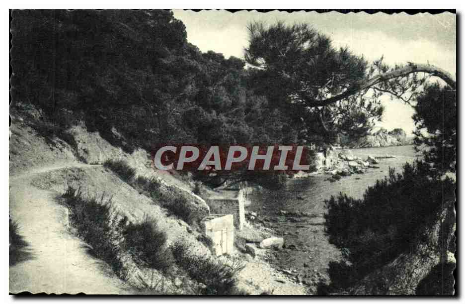 CPM Toulon Sentier Des Douaniers Les Pins Penches