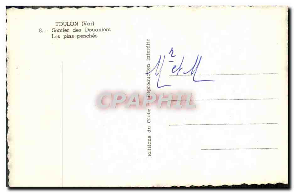 CPM Toulon Sentier Des Douaniers Les Pins Penches — Verso